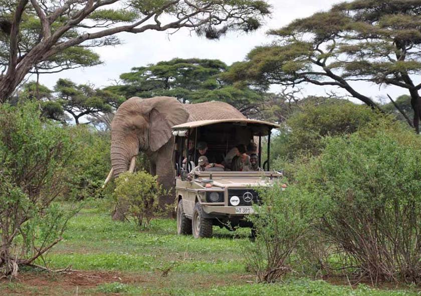 7 Days Safari Mikumi + Ruaha