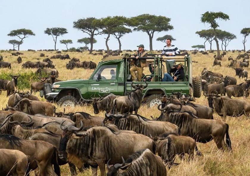 7 Days Safari Mikumi + Ruaha
