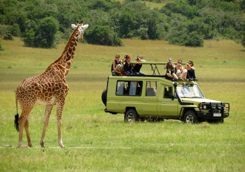7 Days Safari Mikumi + Ruaha