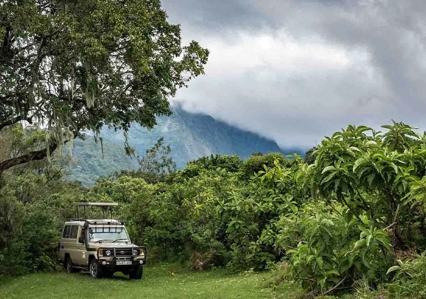 4-Day Group Tour to Tarangire, Serengeti, Ngorongoro