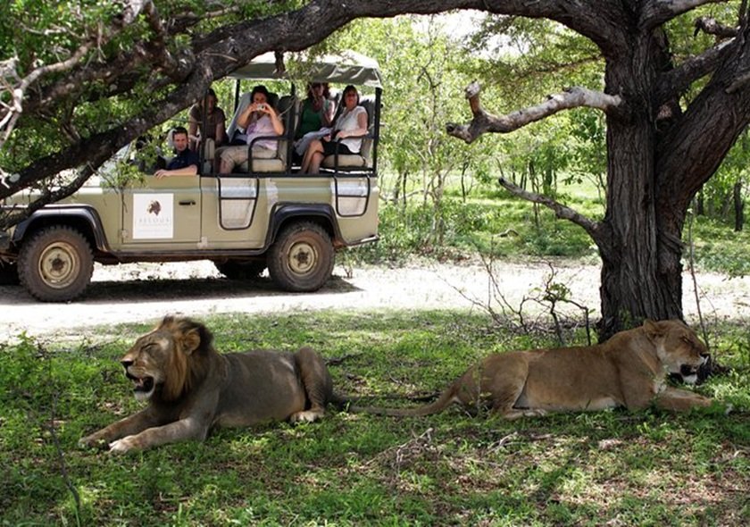 3-Day Group Tour to Serengeti & Ngorongoro