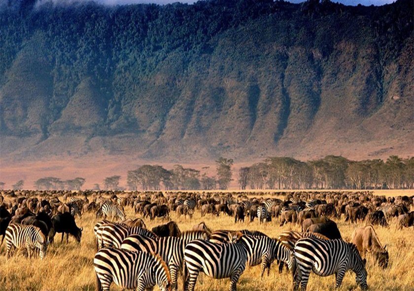 3-Day Group Tour to Serengeti & Ngorongoro
